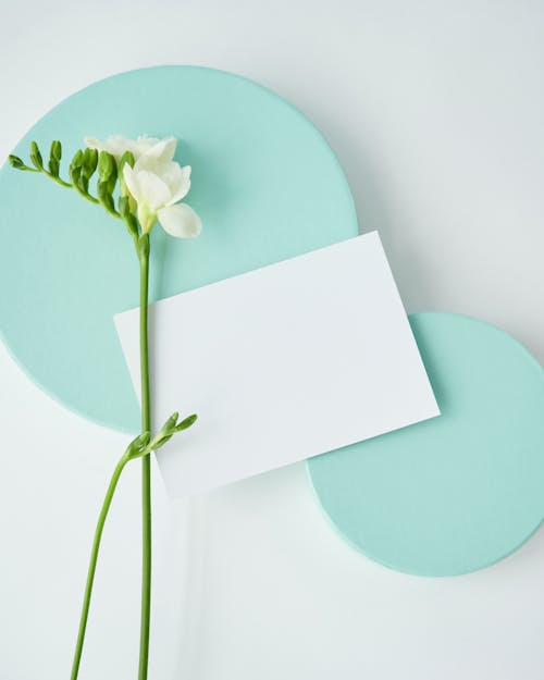 
A Blank White Paper and a Freesia Flower