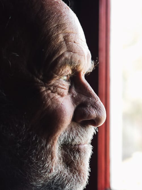 Fotobanka s bezplatnými fotkami na tému bočný pohľad, človek, holohlavý