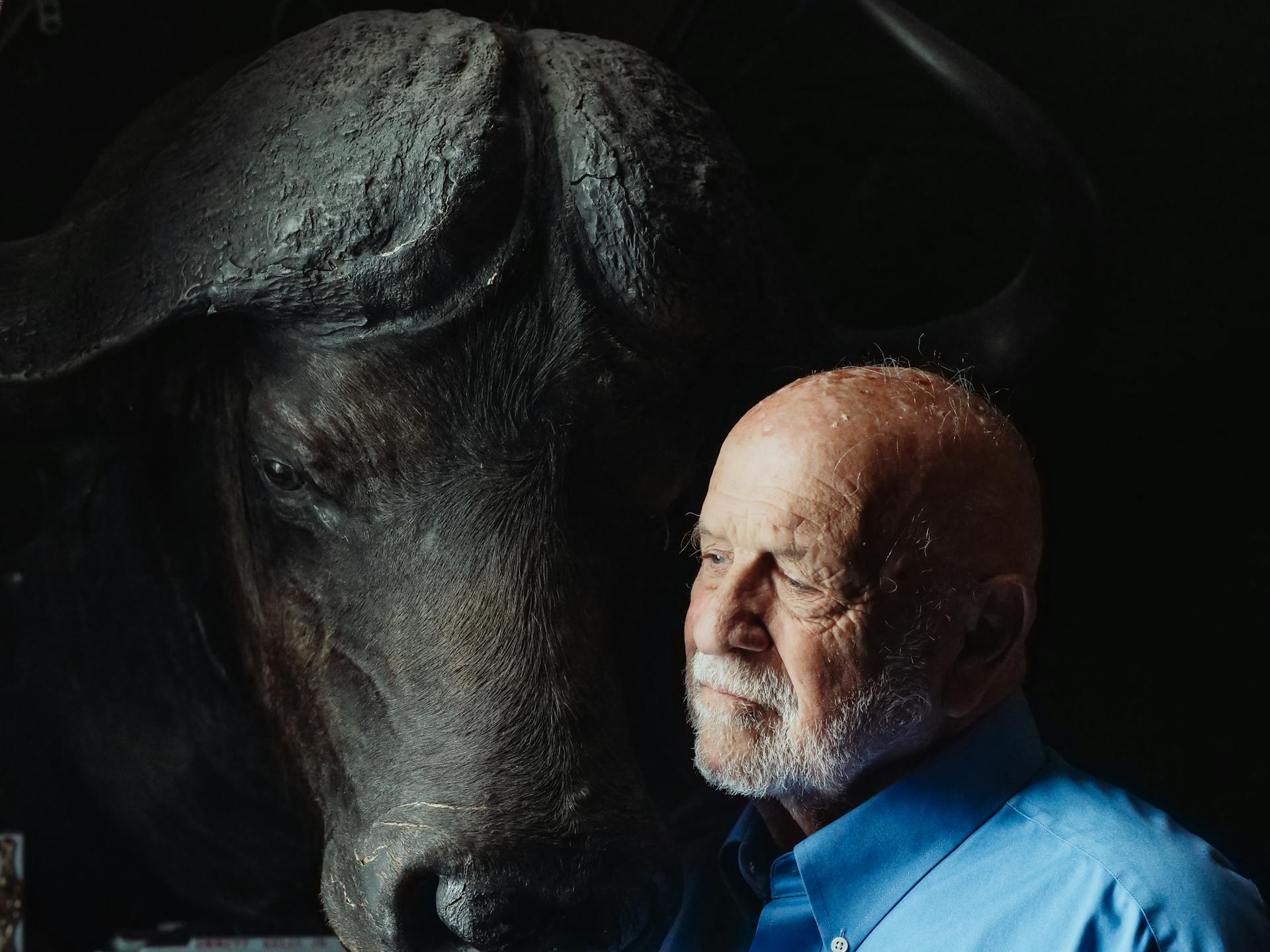 Man Beside a Buffalo Head