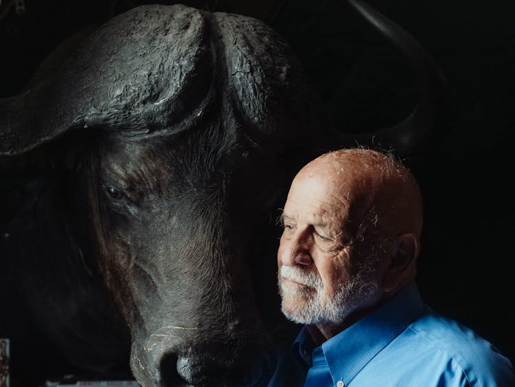 Man Beside A Buffalo Head