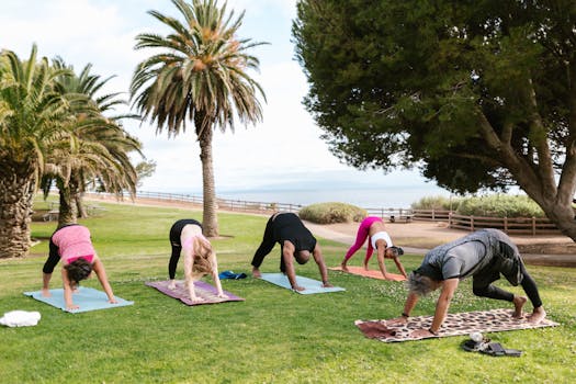 Group practicing yoga outdoors in a scenic park with palm trees, focusing on wellness and fitness.