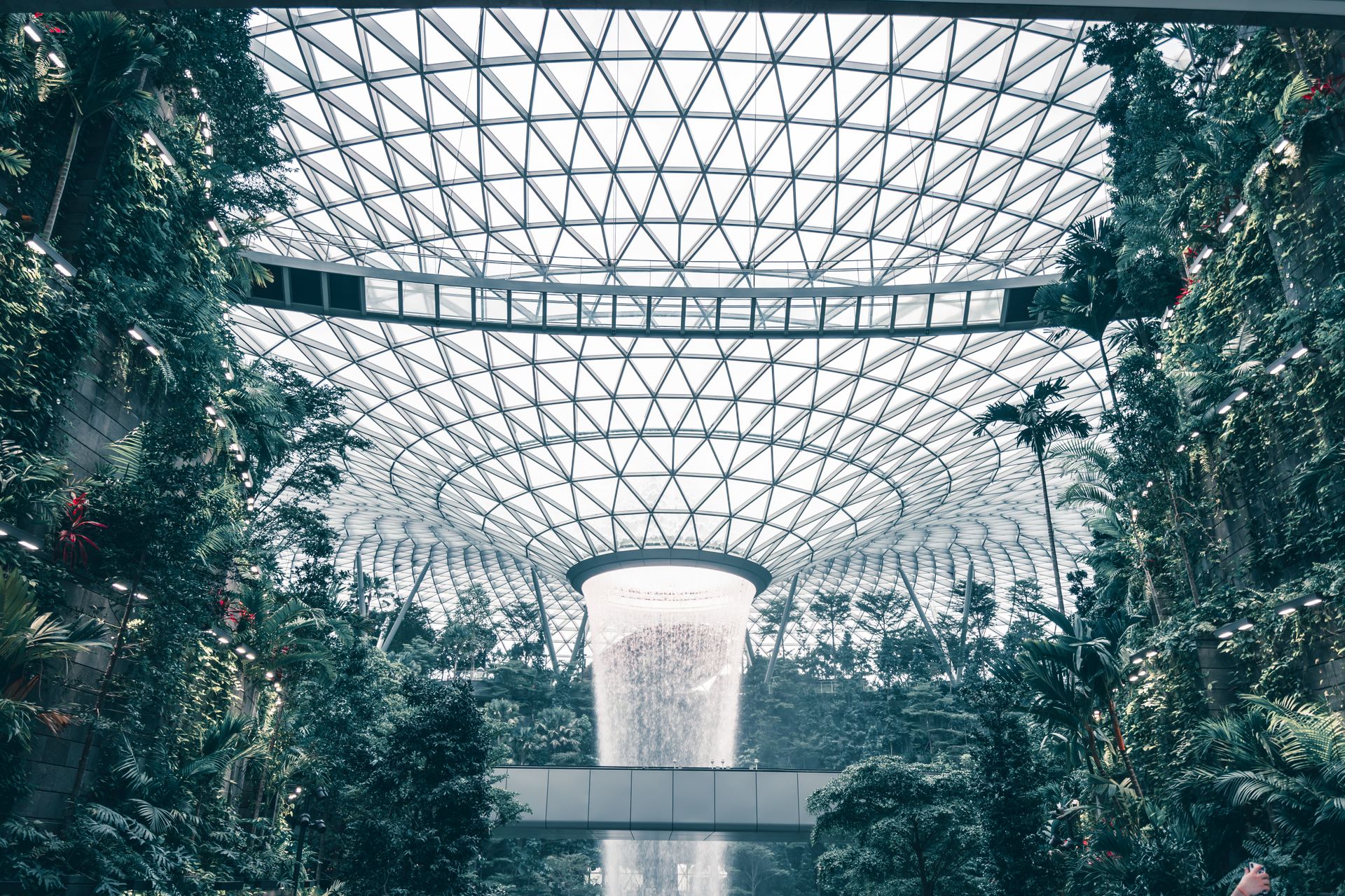 Plants in Indoor Garden