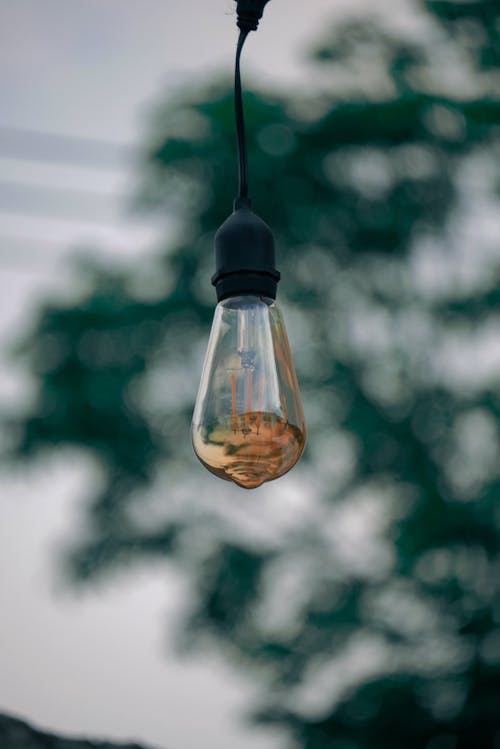 Hanging Clear Light Bulb
