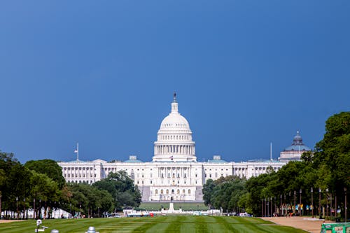 Free United States Capitol, Washington, D.C., United States  Stock Photo