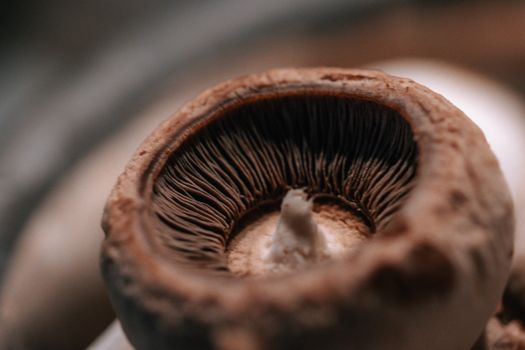 Detailed close-up of a fresh mushroom showing texture and gills in warm tones.