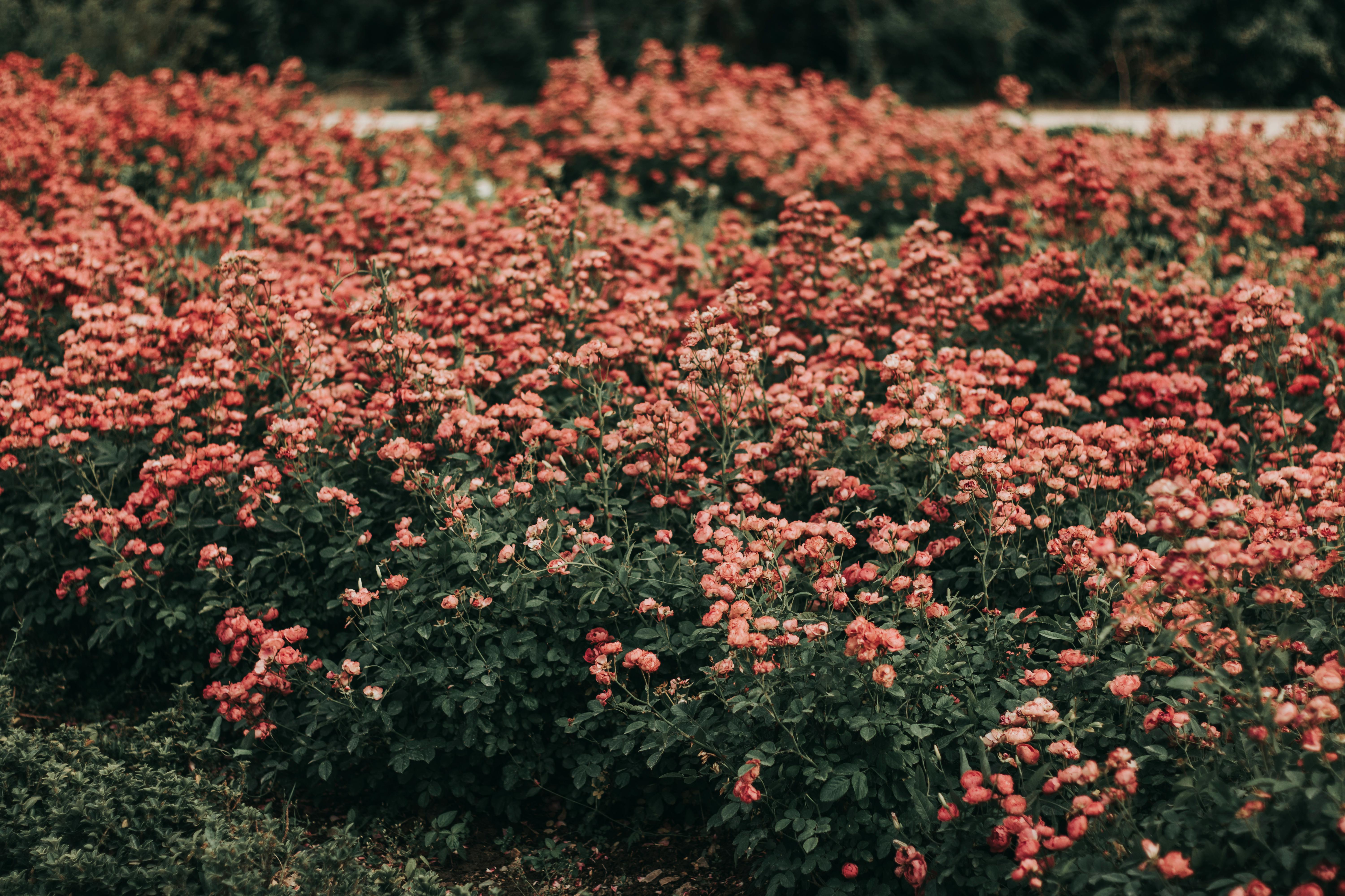 sample-blog-title-placeholder-2