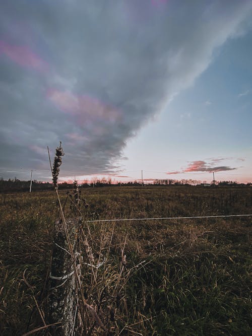 Clouds on the Sky Above the Grass Field