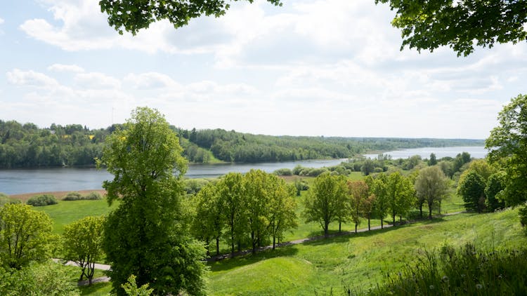 Summer Landscape Of A River And Fields Around It 