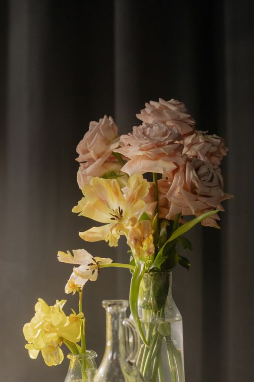 Free A delicate arrangement of pastel roses and tulips in glass vases, elegantly captured in soft light. Stock Photo
