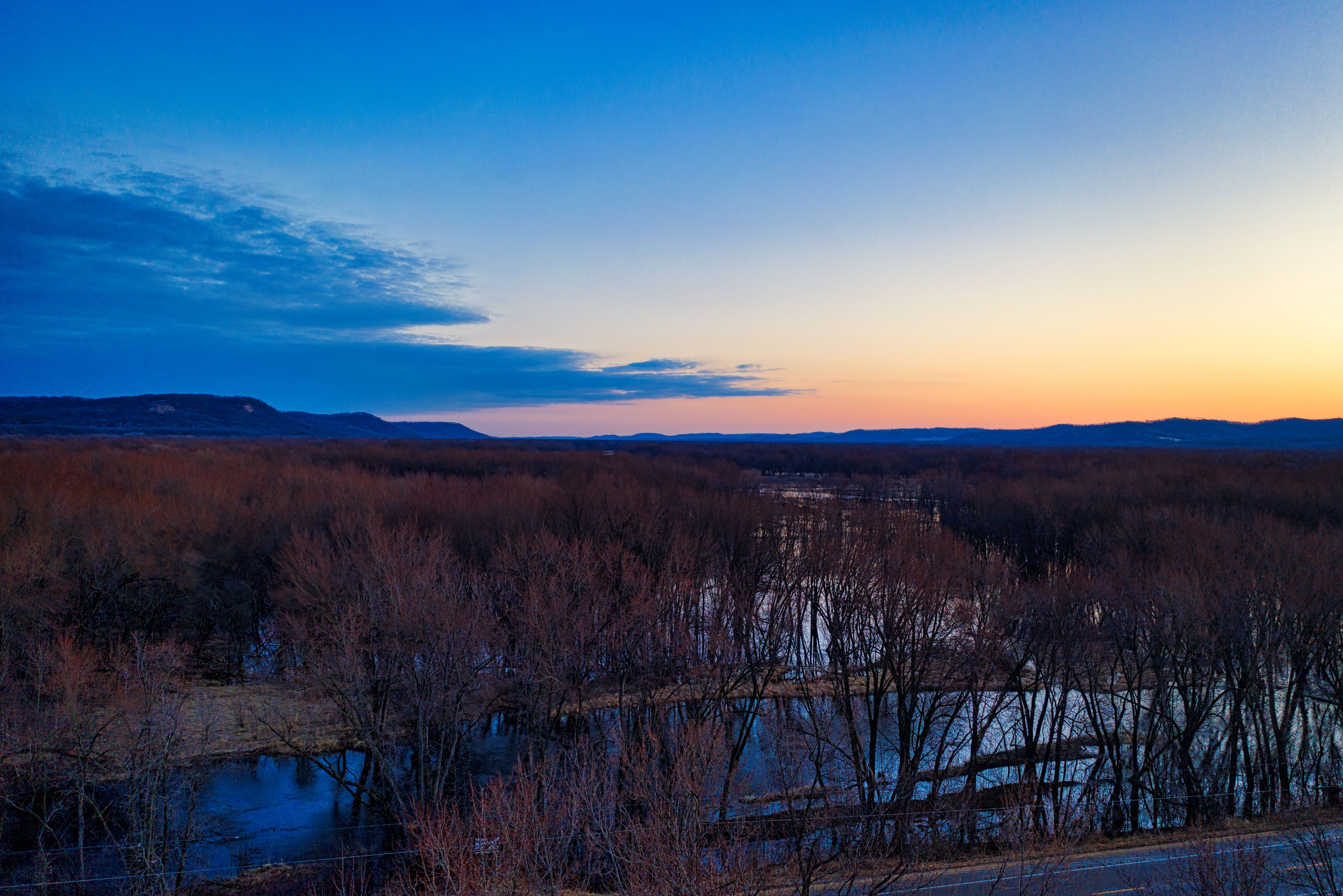 A Leafless Trees Under the Blue Sky · Free Stock Photo