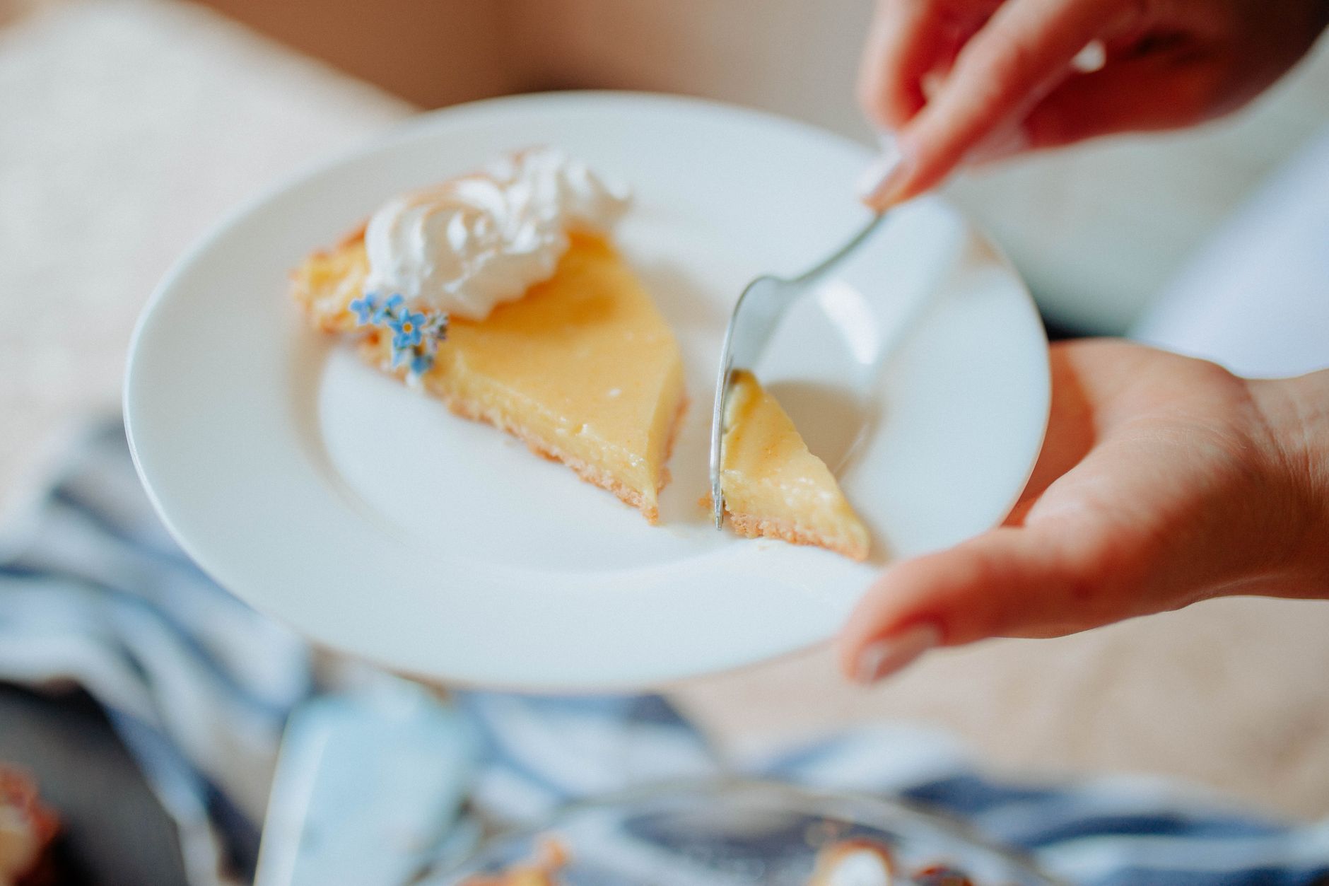 Slice of triple lemon pie with whipped cream and berries