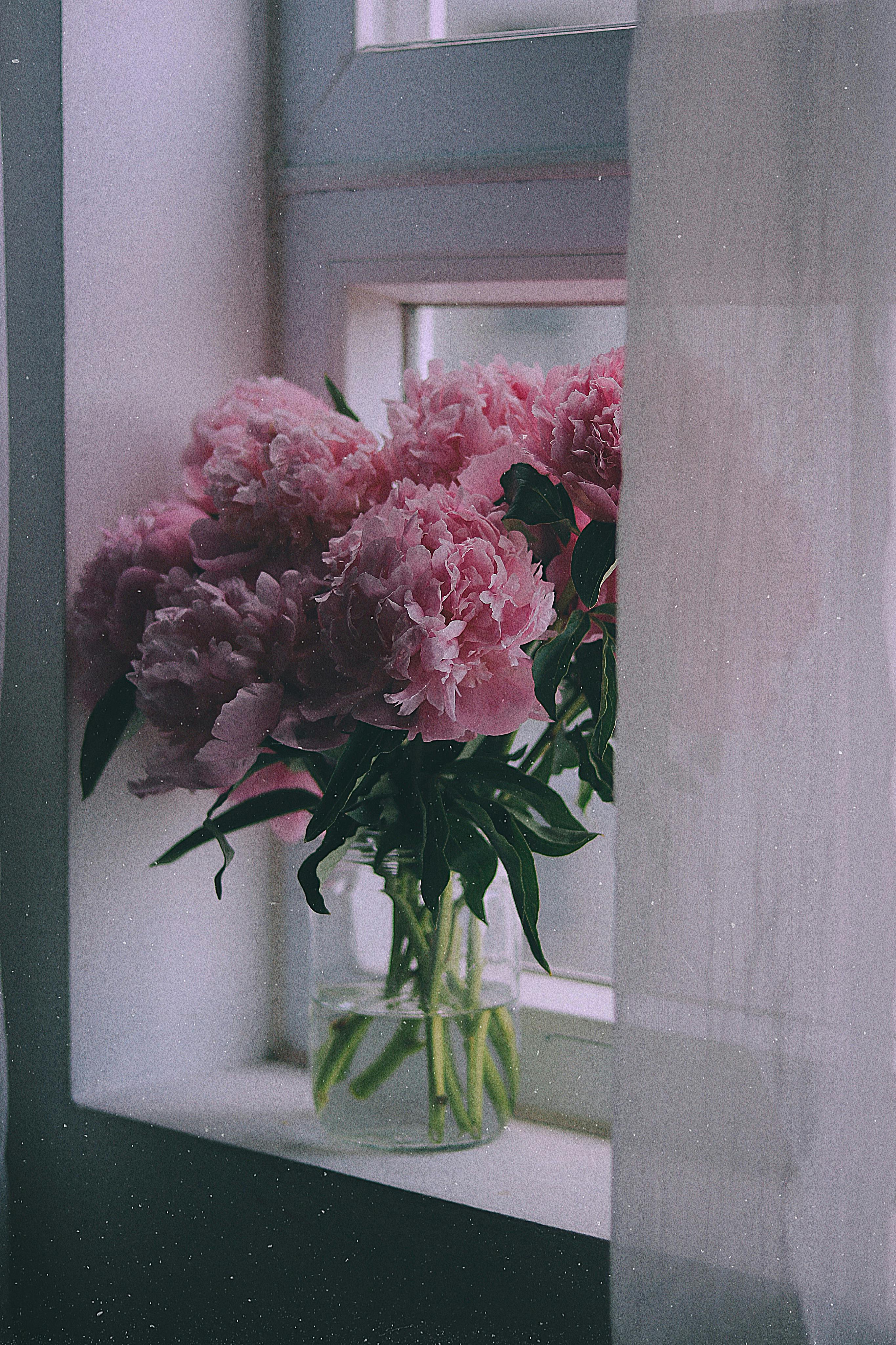 Pink Flowers in Glass Vase · Free Stock Photo