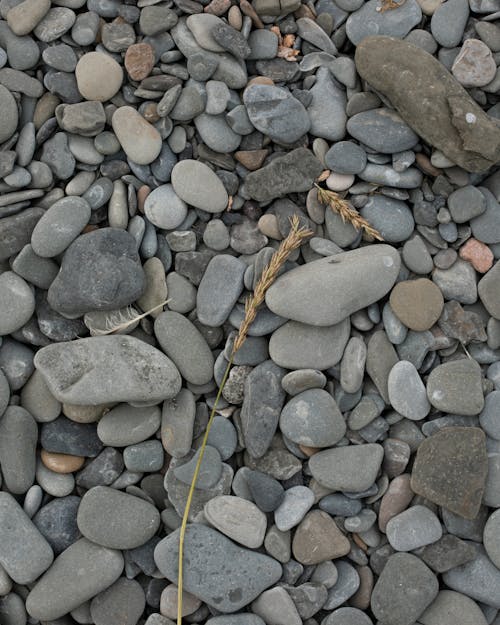 Kostenloses Stock Foto zu am meer