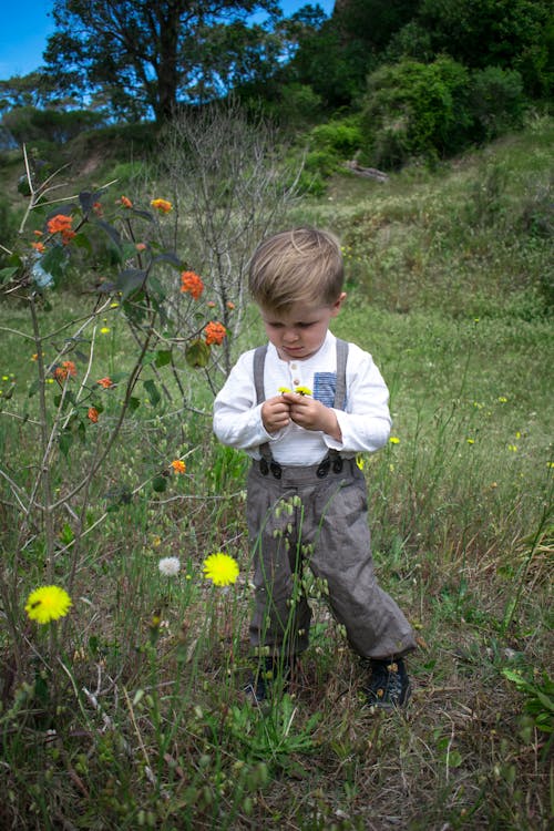 A Boy Picking Wild Flowers in the Grass Field