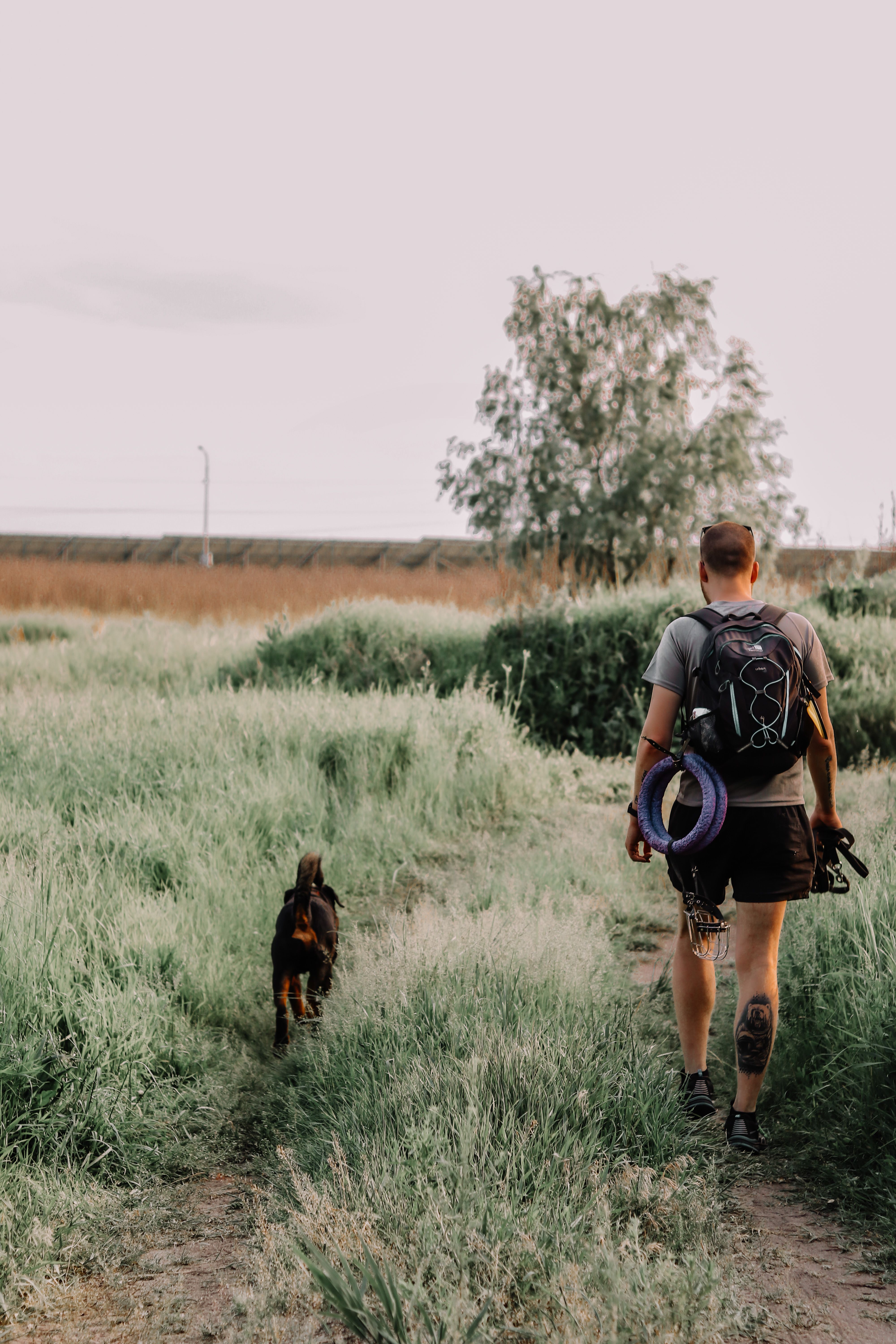 Person walking a grassy trail with a loaded backpack while their dog trots ahead