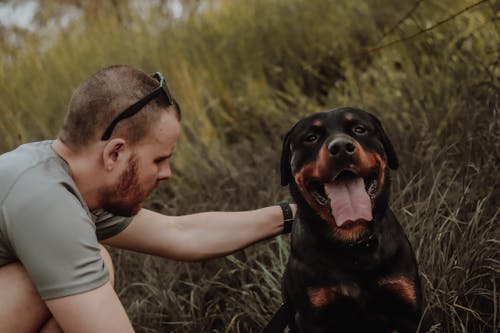 Free Photo of a Man Petting a Dog Stock Photo