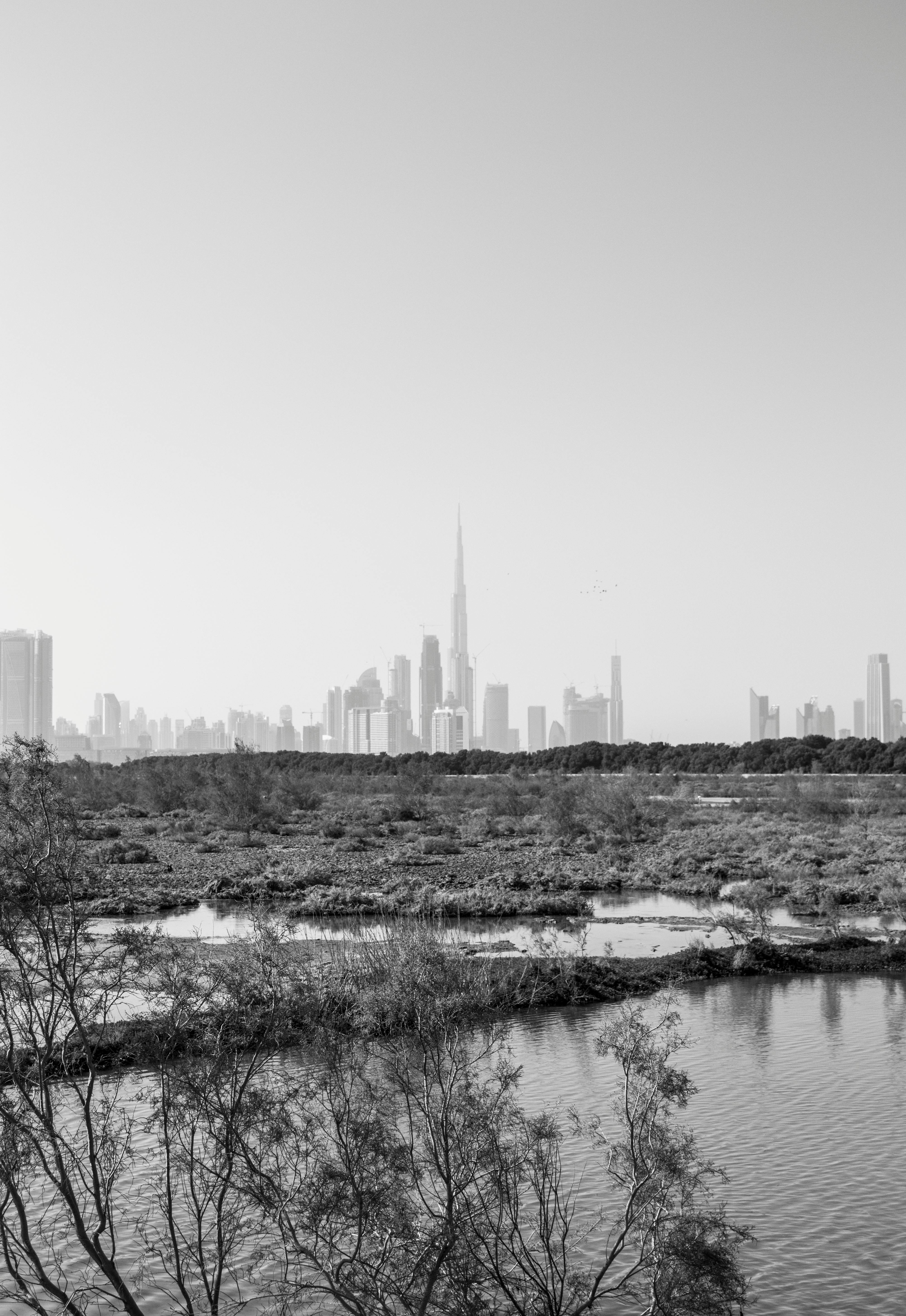 Free stock photo of black and white, dubai, skyline