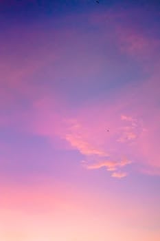 A vibrant sunset sky blends pink and purple hues, capturing the serene beauty of twilight.