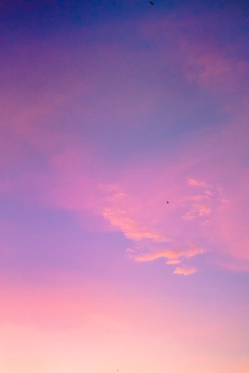 Purple and Pink Sky