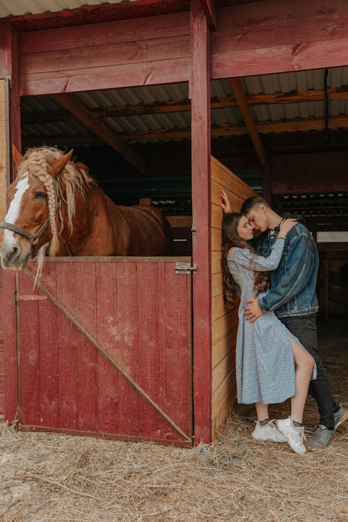 Side view of trendy young man embracing girlfriend against stallion in wooden stall in countryside