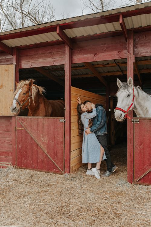 Free Side view of trendy man kissing and embracing girlfriend between stallion muzzles in countryside stall Stock Photo