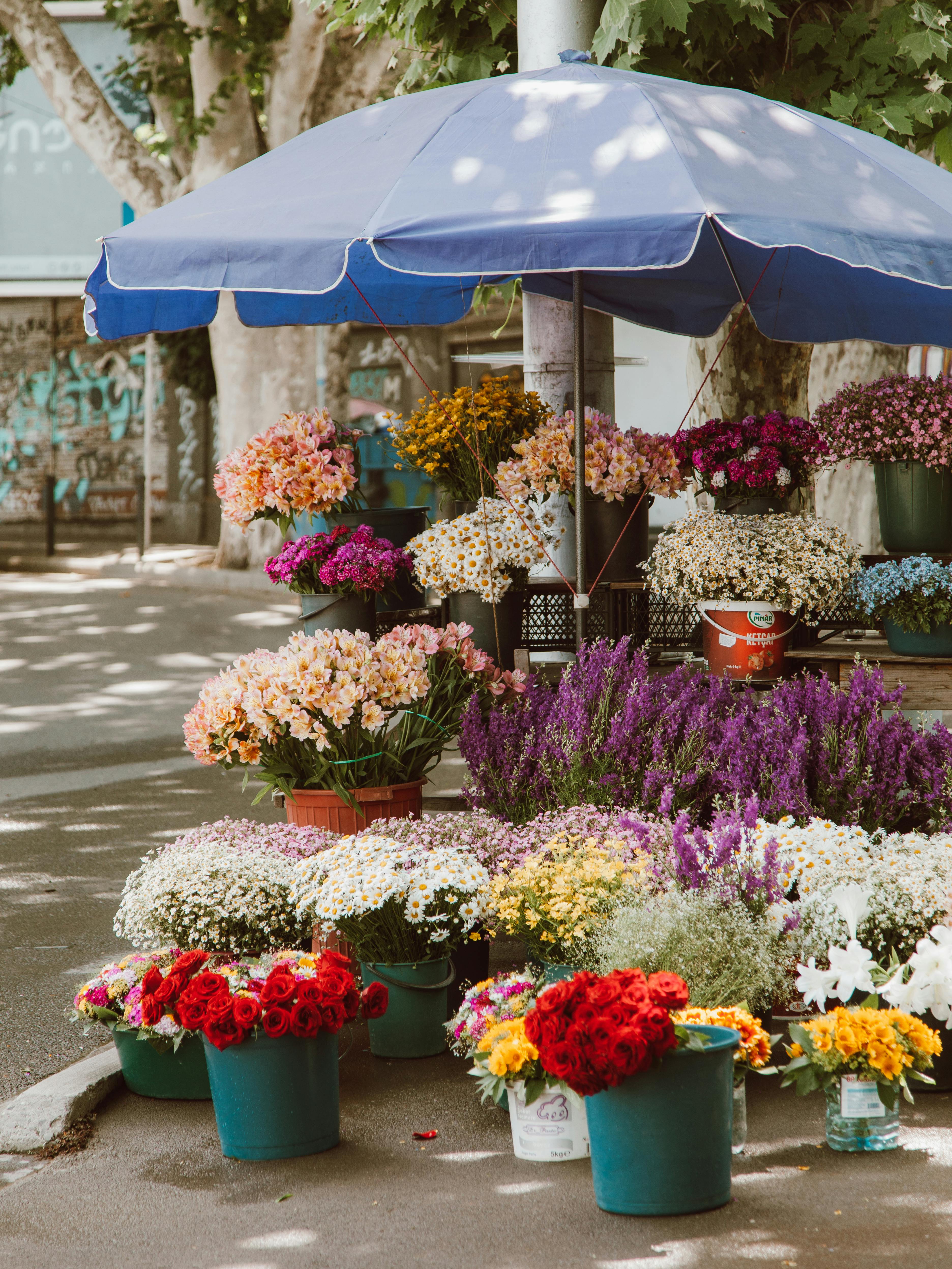 A colorful array of flowers under a blue parasol at an outdoor market stand, ideal for spring themes.