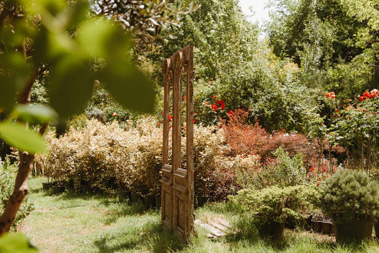 Antique Wood Panel In The Garden