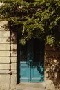 Blue Wooden Door With Green Vines