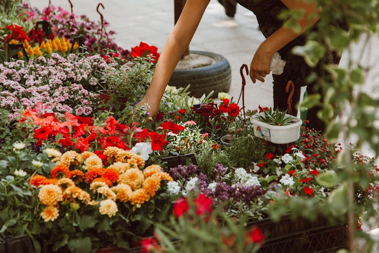 Woman Buying Flowers On City Street