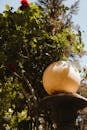 Yellow Ball on Tree Branch