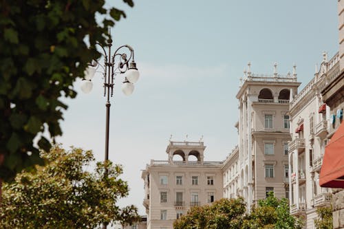 Imagine de stoc gratuită din arbori, arhitectură, beton