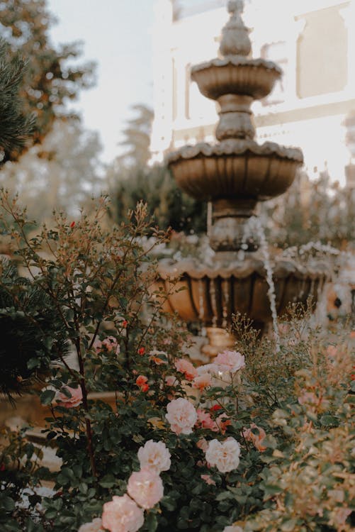 Water, Fountain, Trough, Flow, Stone Fountain, Garden