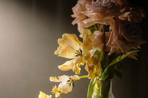 Gratis Immagine gratuita di avvicinamento, composizione floreale, fiori Foto a disposizione