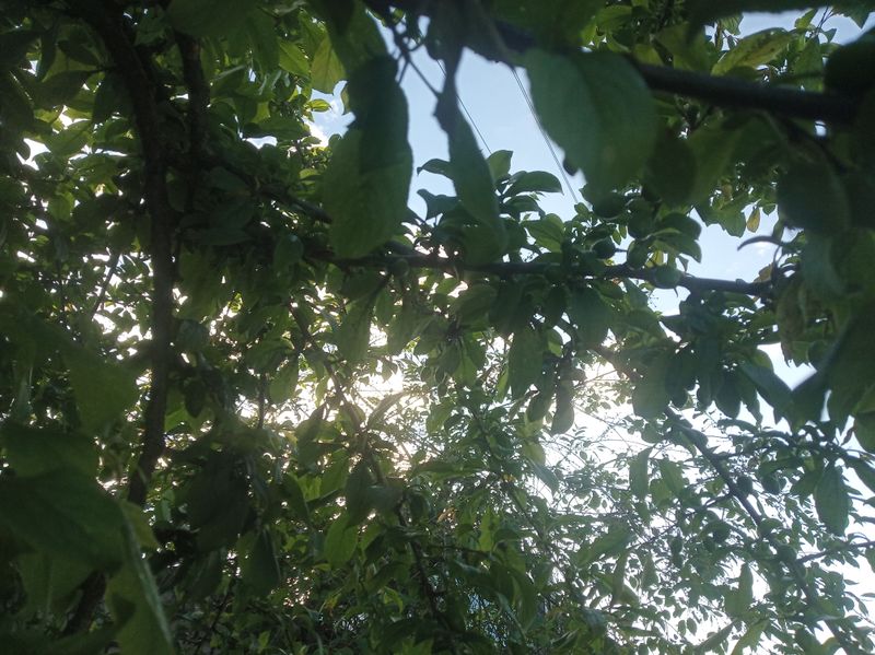 Team AstreinExzellent