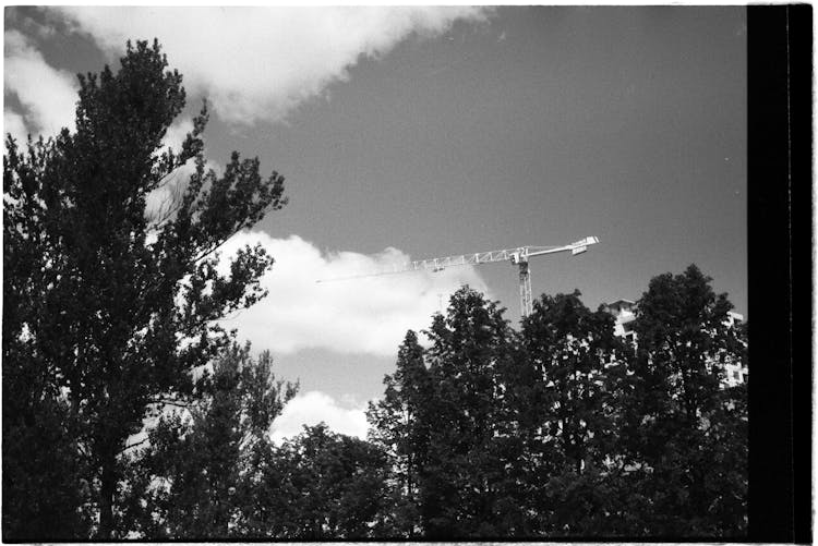 Tree Crowns And A Crane On Black And White Film Photograph 