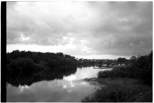 A serene black and white river scene featuring a distant ferris wheel and lush vegetation.