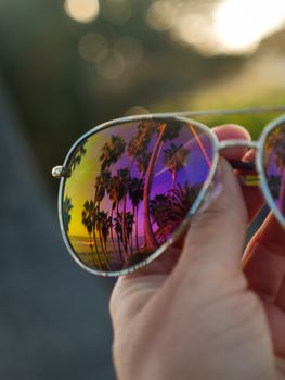 Palm trees and coastline reflected in colorful aviator sunglasses for a tropical vibe.