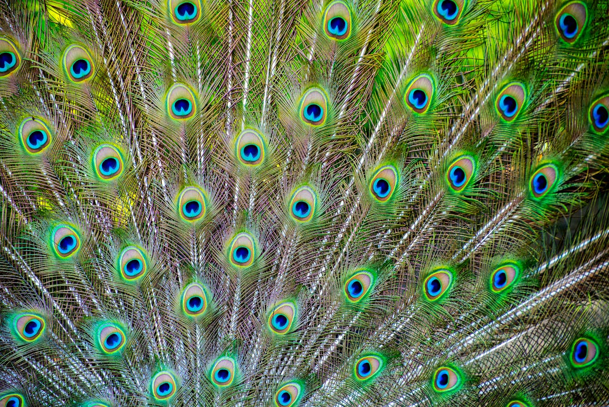Lentil and vegetable stew simmering in a pot