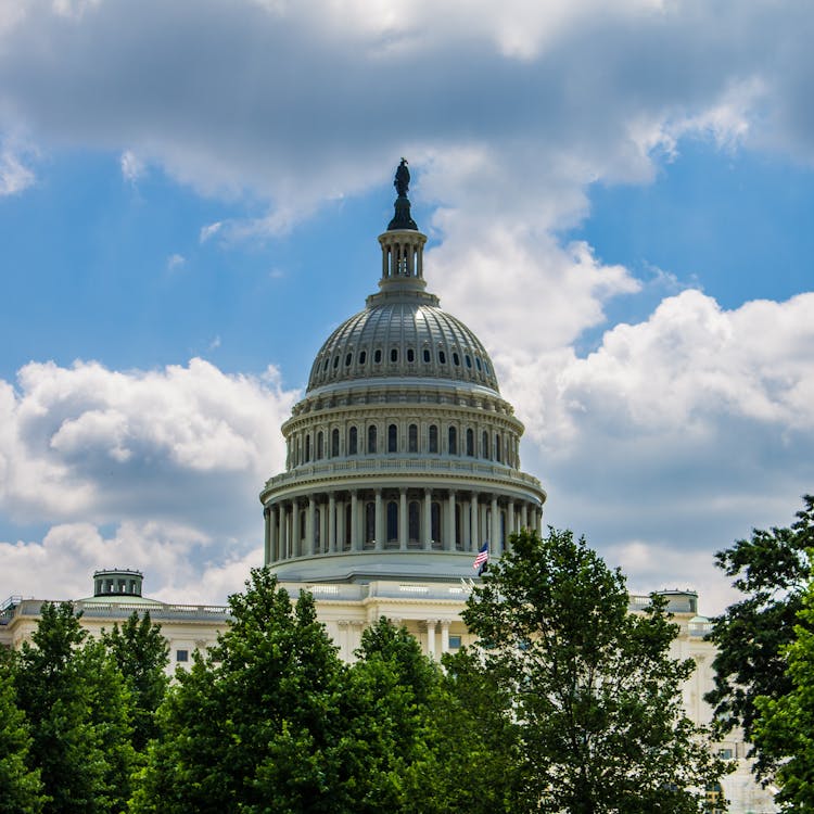 Dome Of The United States Capitol Above Tree Crowns 