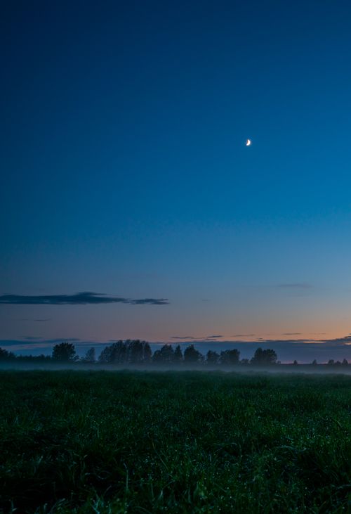 Free Serene landscape with misty fields and moon at twilight, showcasing the beauty of nature. Stock Photo