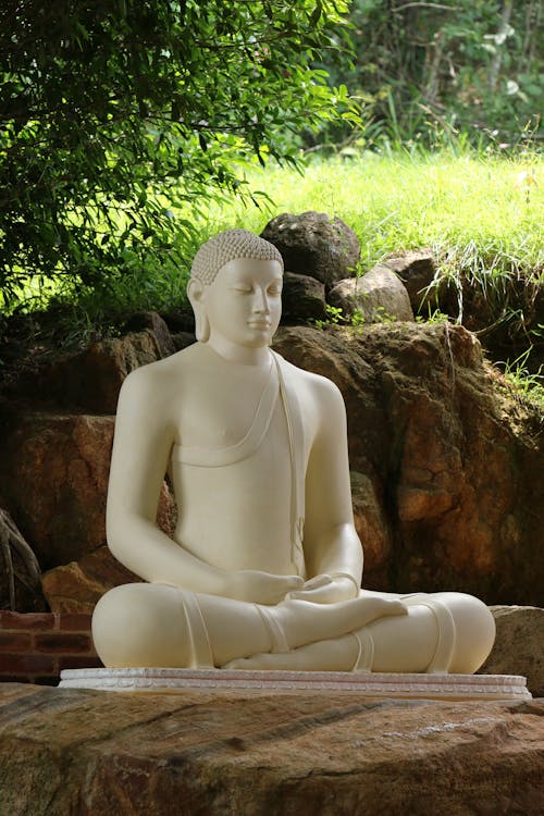 mahamevnawa, mahaviharaya, 佛 的 免費圖庫相片