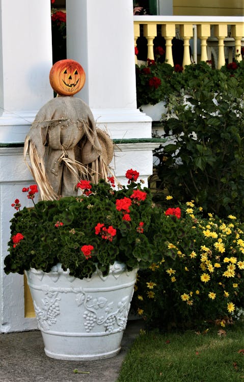 Scarecrow Behind a Plant on White Pot