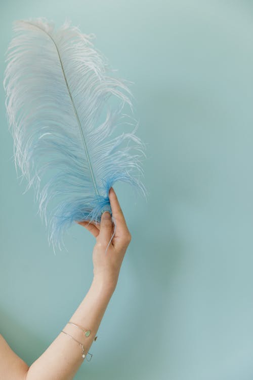 Close-up of Woman Holding a Blue Feather on Blue Background 