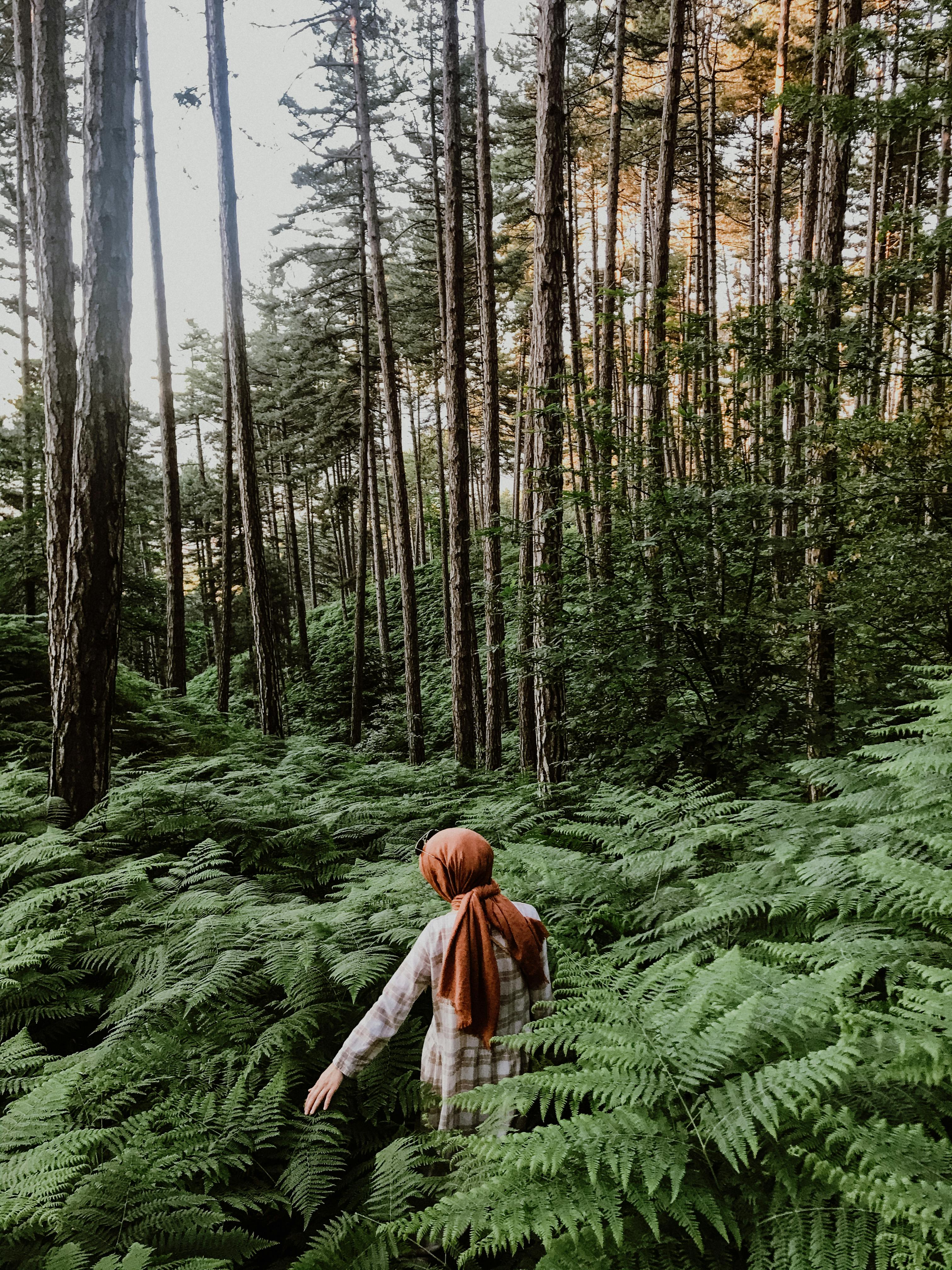 A woman in a headscarf explores a dense forest path with tall trees and lush ferns.