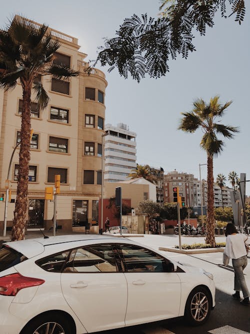 Car on the Street between Buildings and Palm Trees in City in Summer 