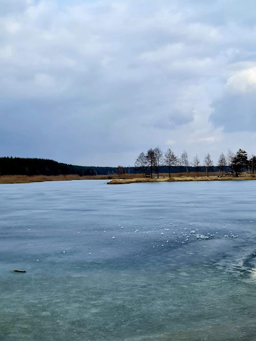 Foto stok gratis Danau beku, danau biru, hutan