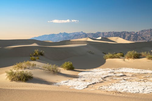 Sand Dunes in the Desert