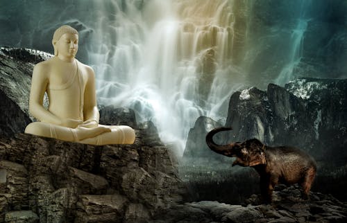 Free stock photo of asia, buddha, buddhism
