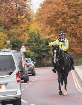 A mounted police officer directs traffic on a London street amid autumn foliage.