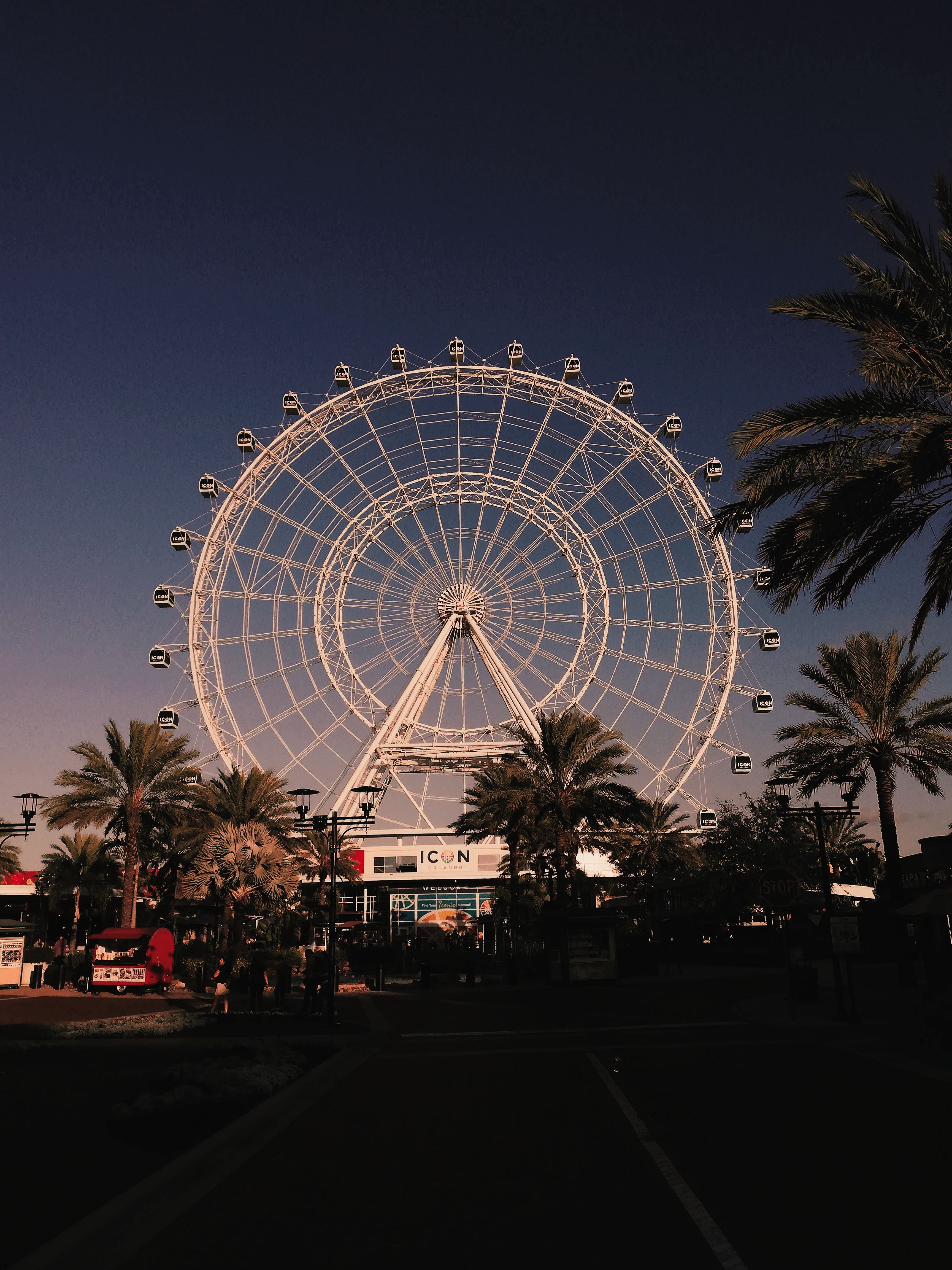 Majestic Ferris Wheel at Icon Park framed by palm trees during sunset.